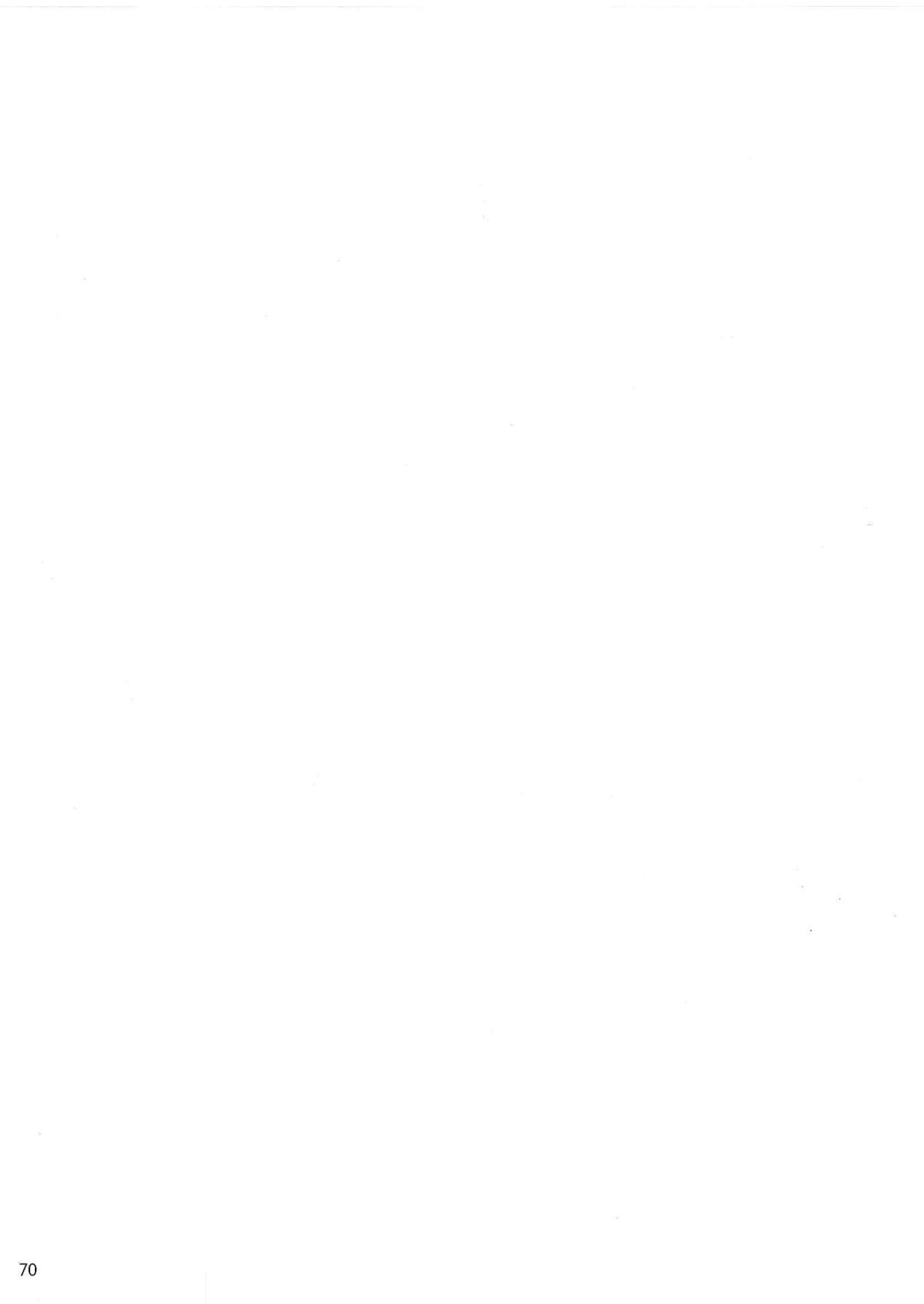 hsk2sbh_p70.jpg