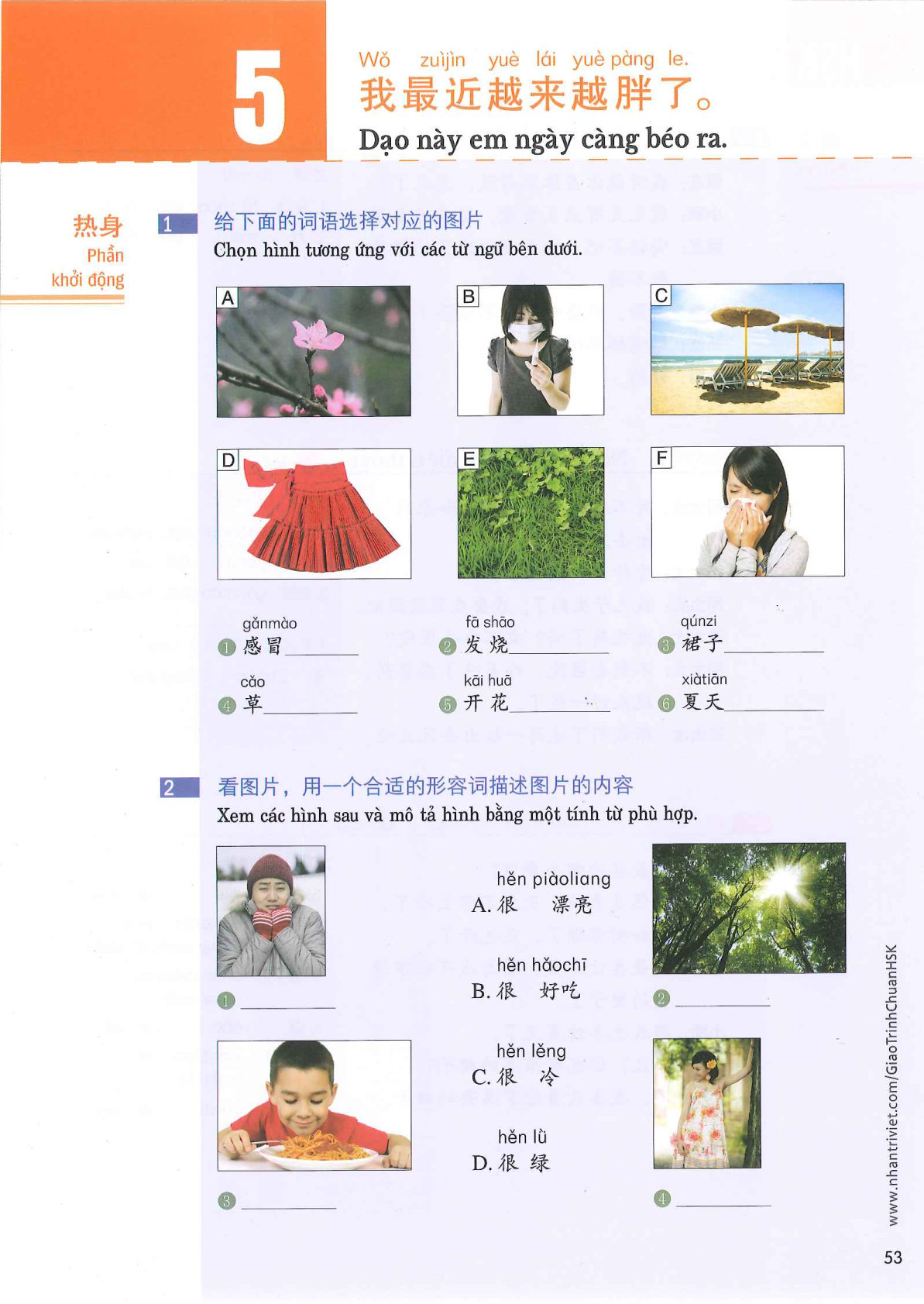 hsk3sbh_p53.jpg